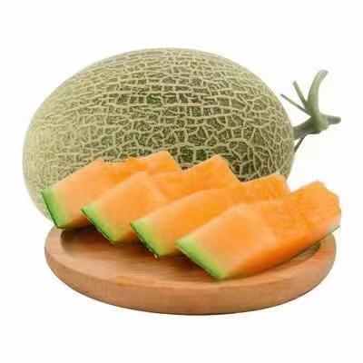 我的甜甜