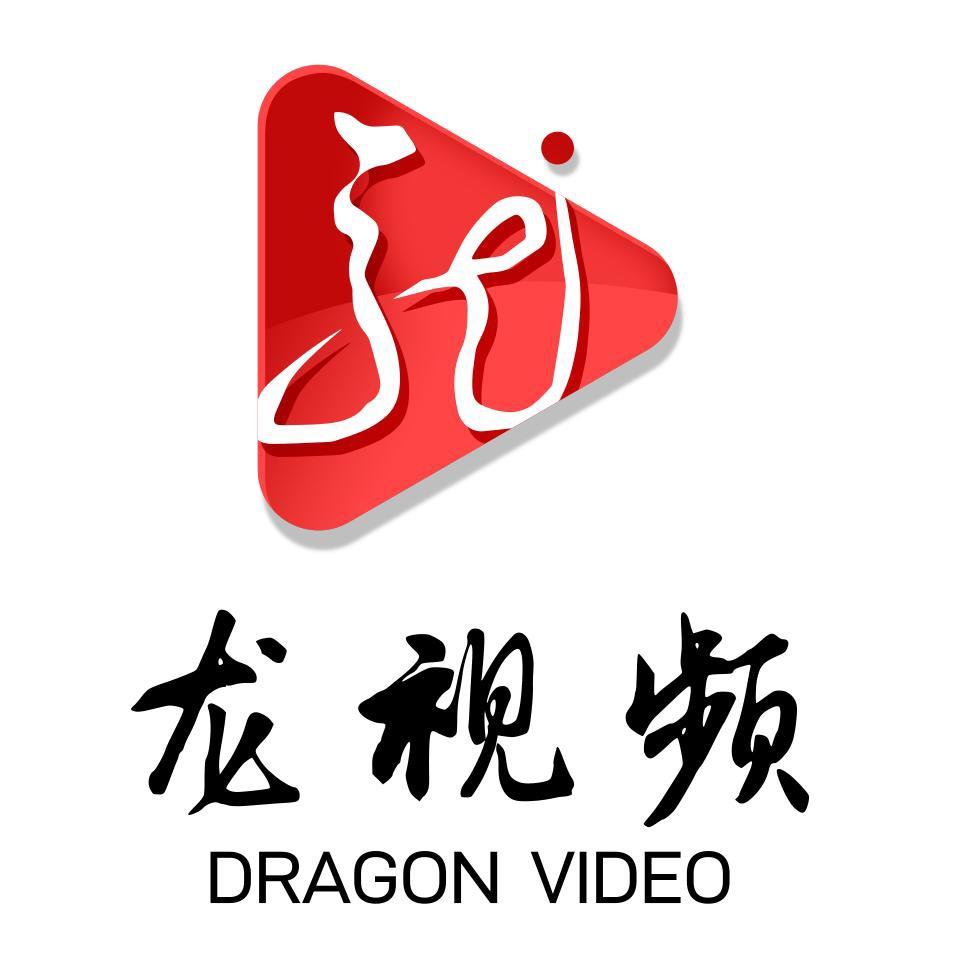 龙视频厂长调查