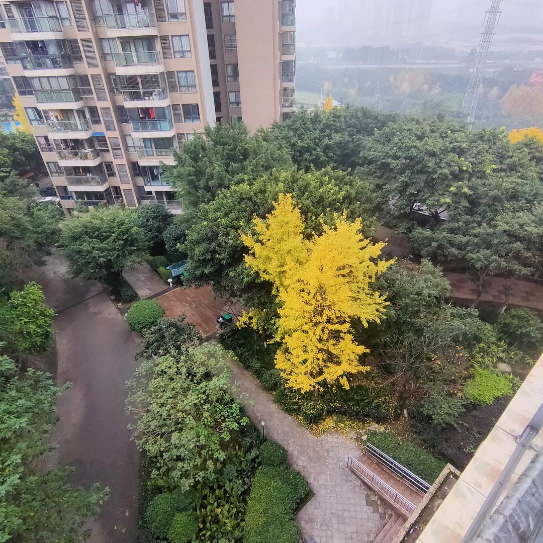 厨房管家零零柒