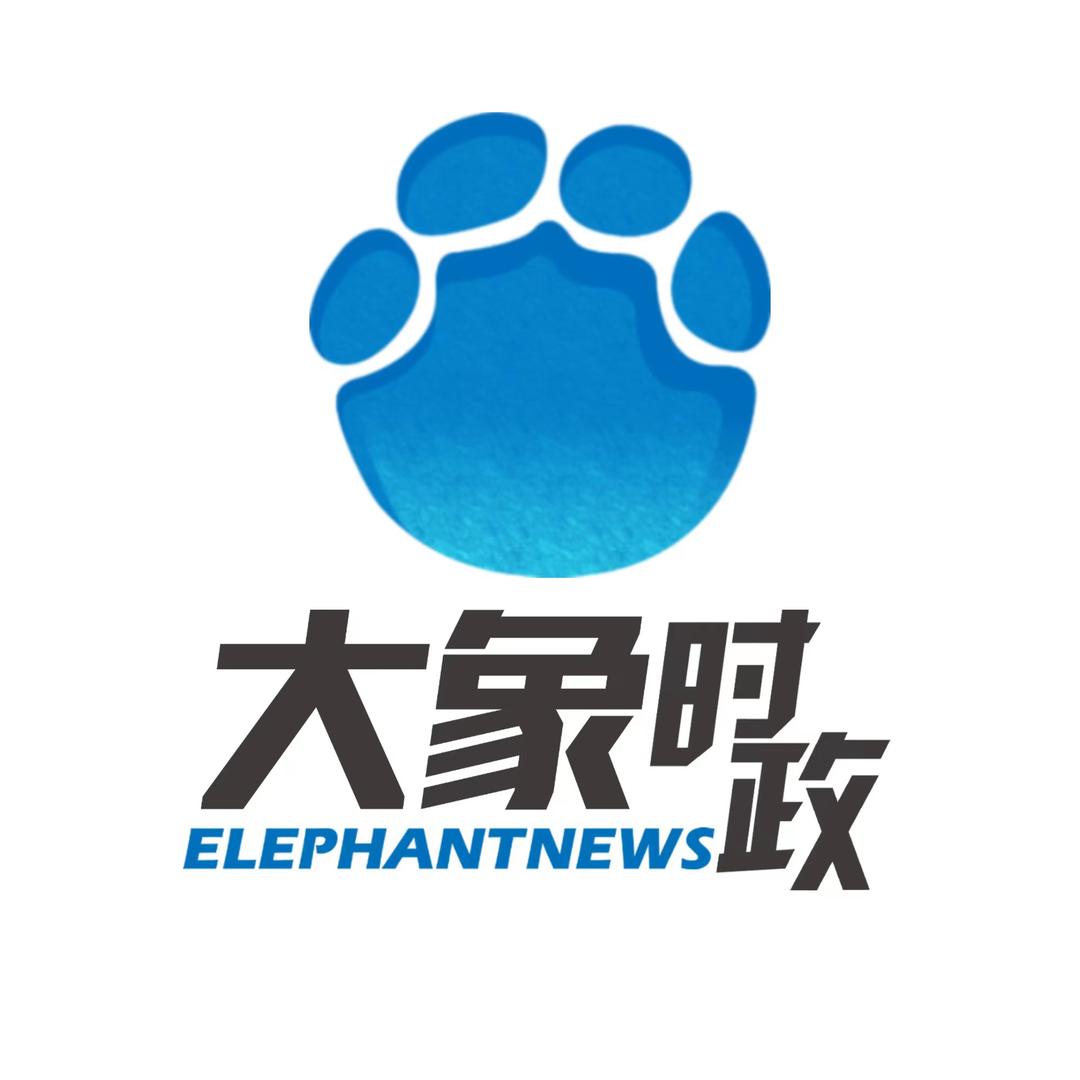 大象时政