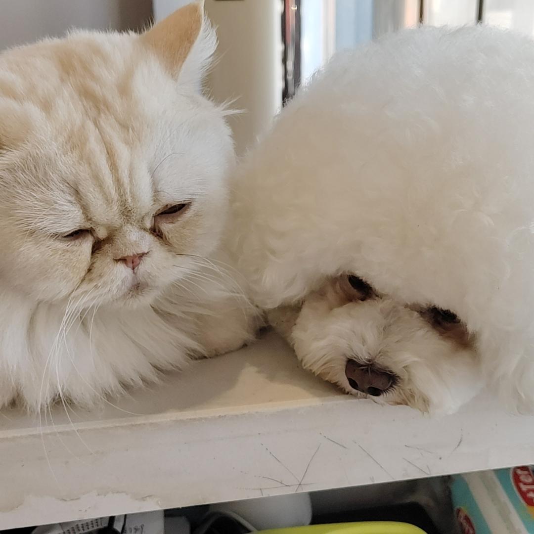 漠