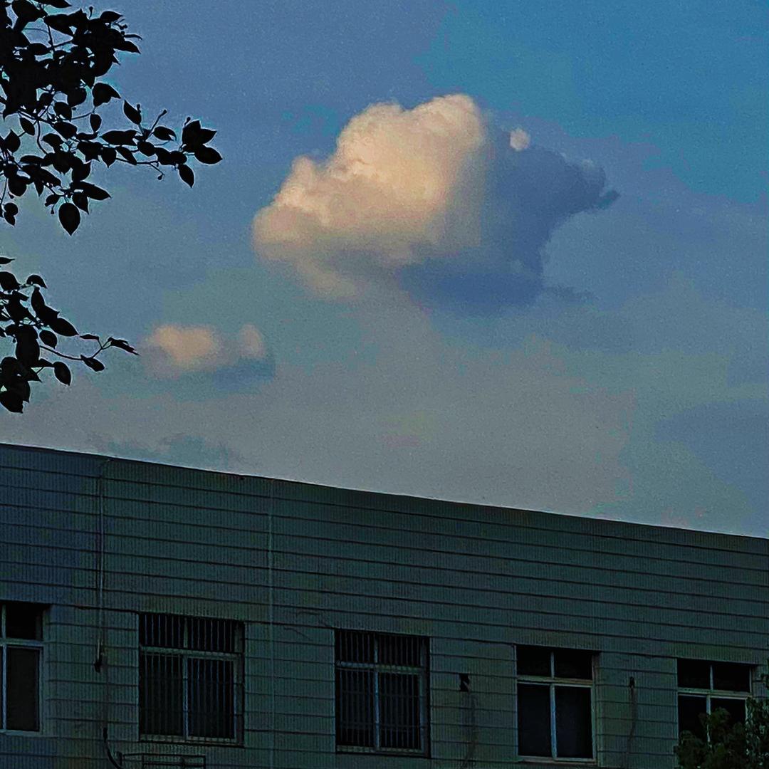 簠 簋 師 兄