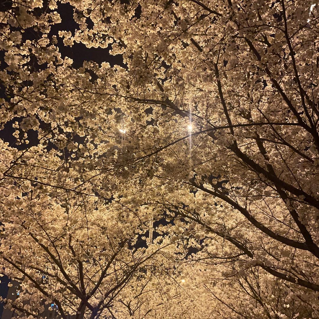 橙子很甜❤
