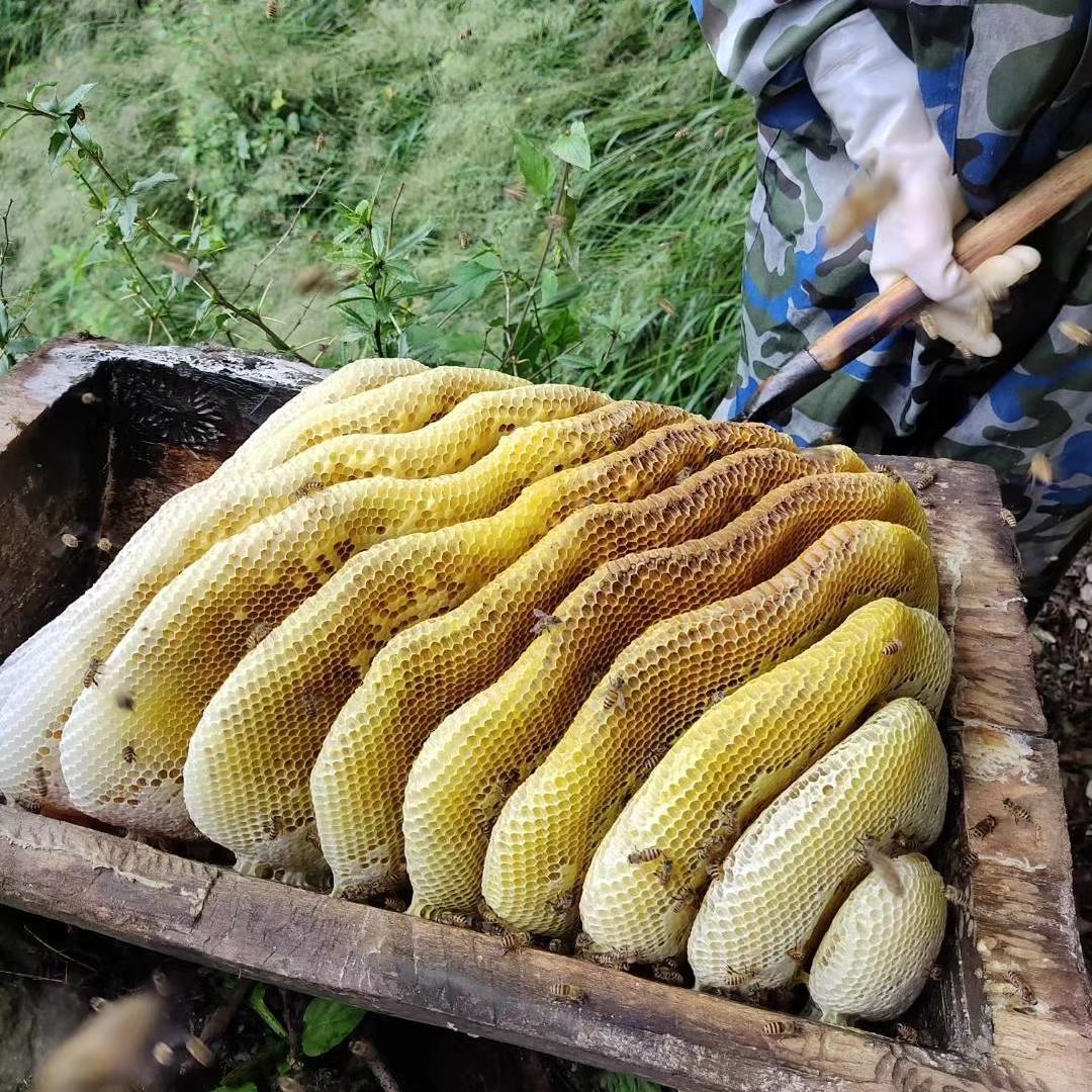 玉  小小只
