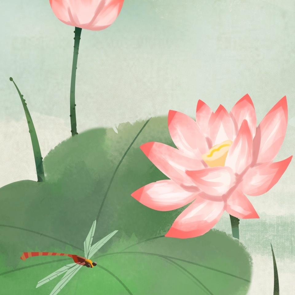飞越地平线