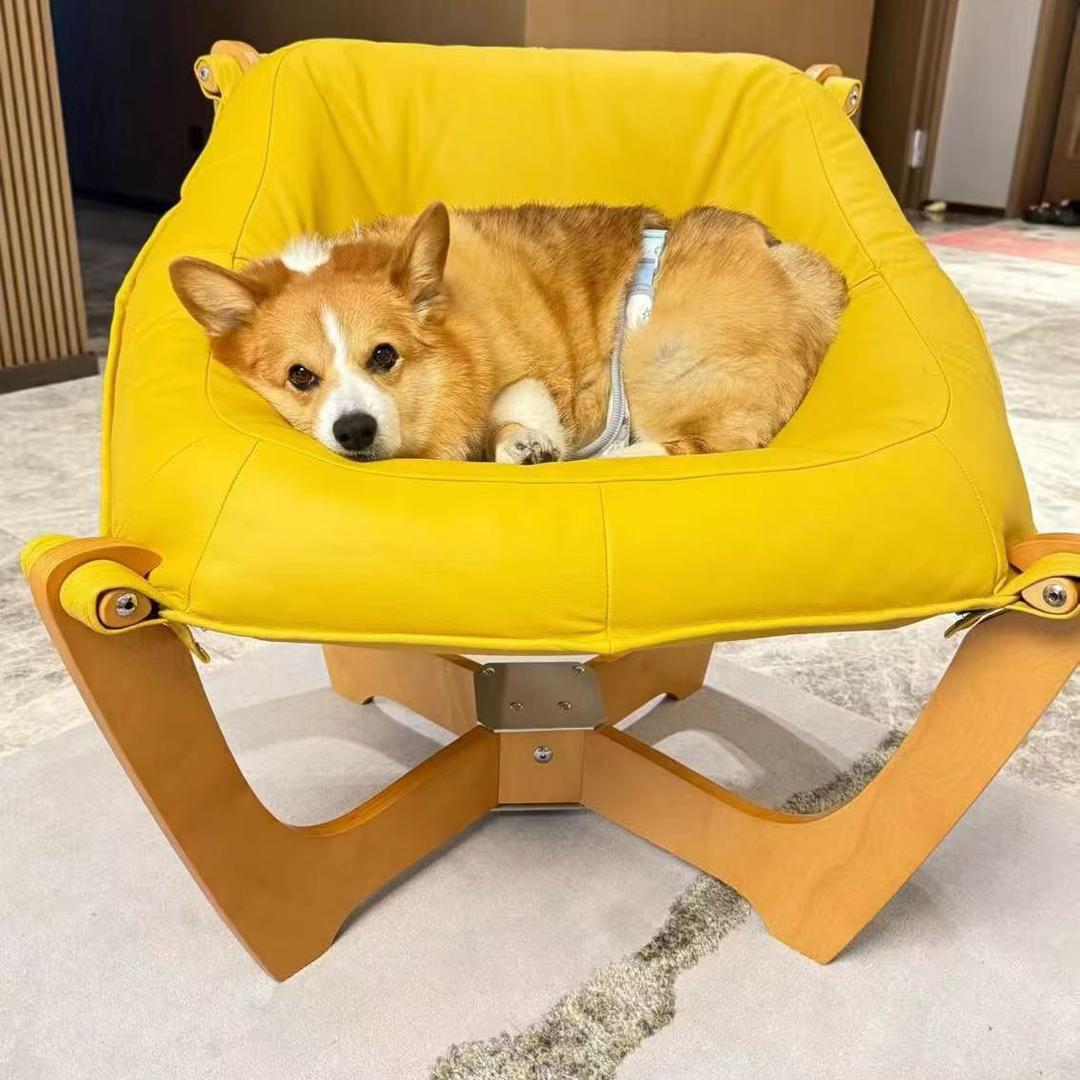 用户4644957739611