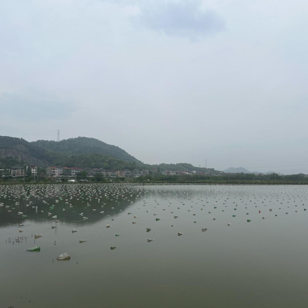 珠宝批发清沧