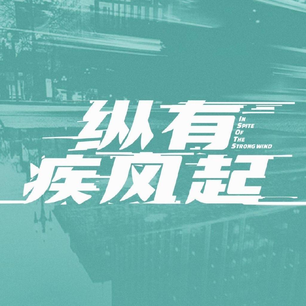 电视剧纵有疾风起