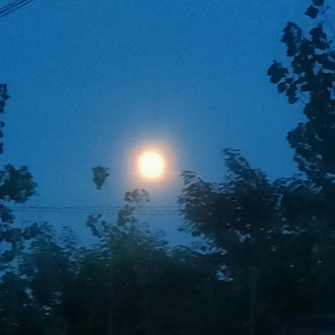 💞日久ღ᭄见任心ঞ᭄༊