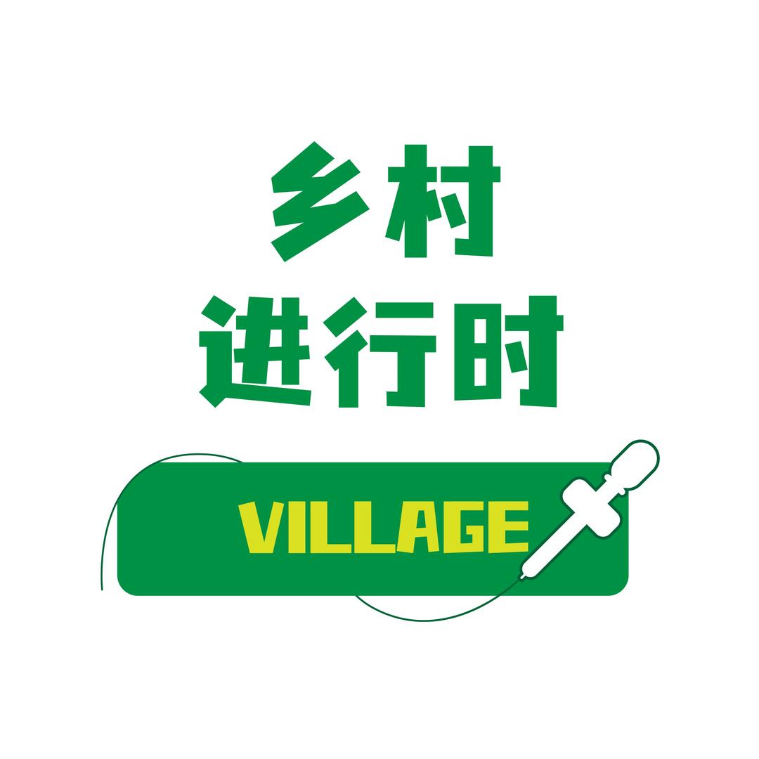 乡村进行时