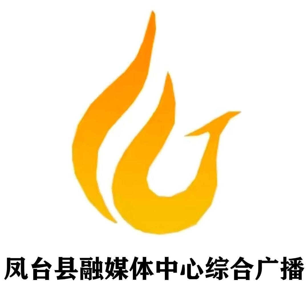 今日凤台·综合广播
