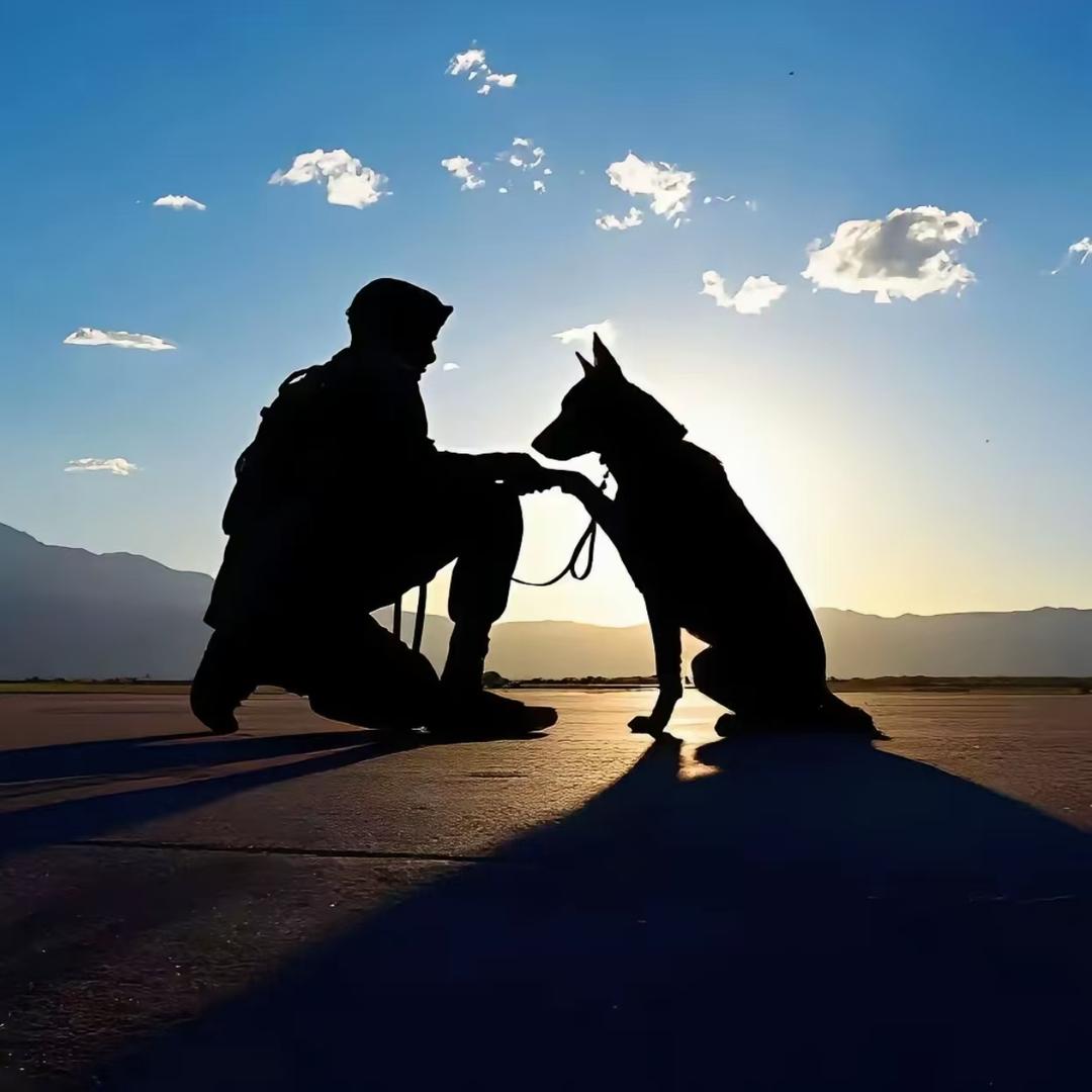 偶尔也爱发会儿呆