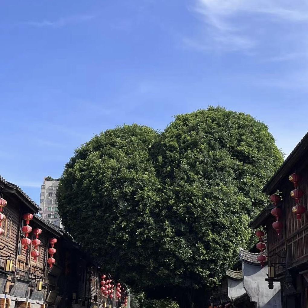 潇洒小姐