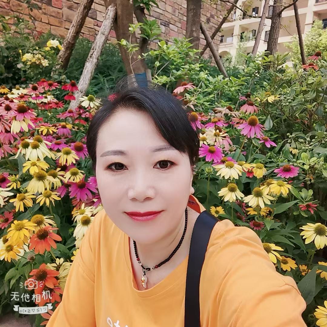 风随心动