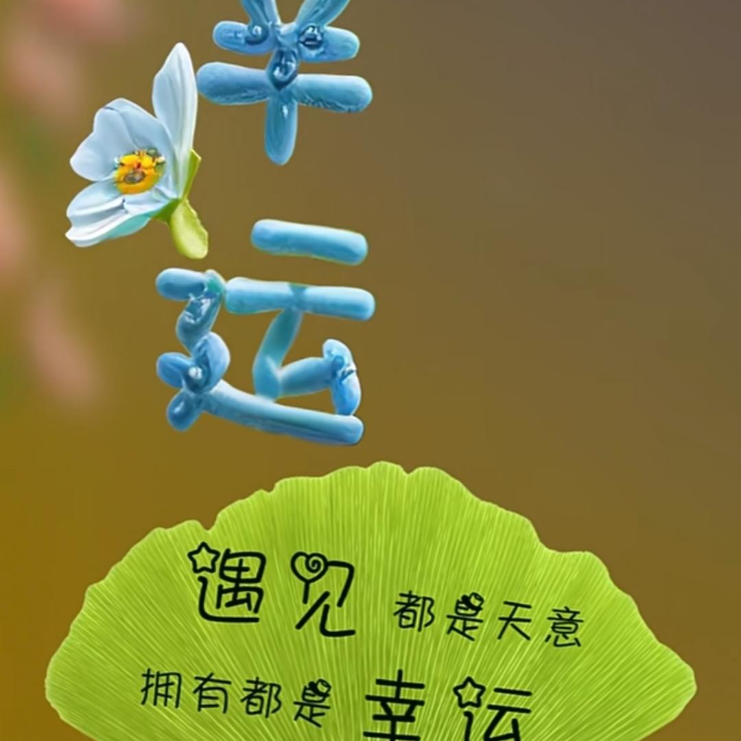 太阳高空赵