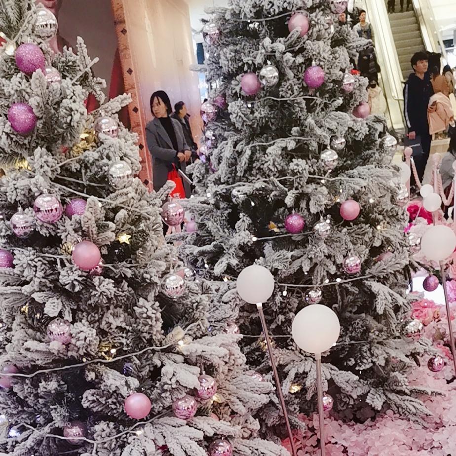 超继金象高尔夫•小白