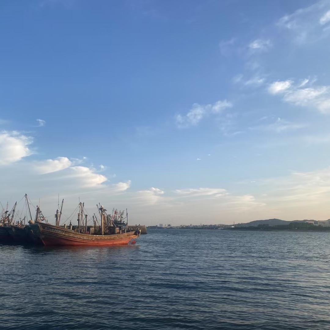 招财猫的小铃铛🔔