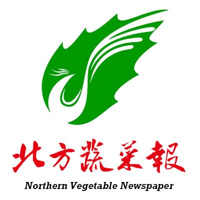 北方蔬菜报