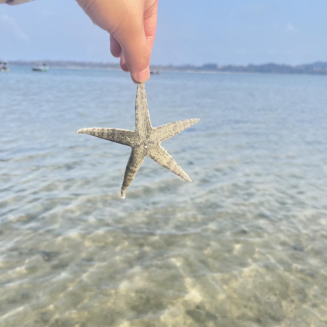 柚柚崽