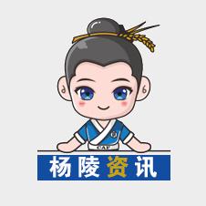 杨陵资讯