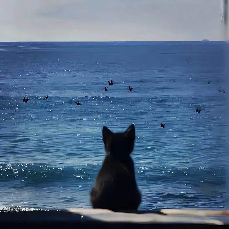 珠海大马戏