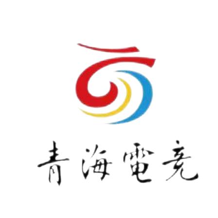 青海省电子竞技运动联合会