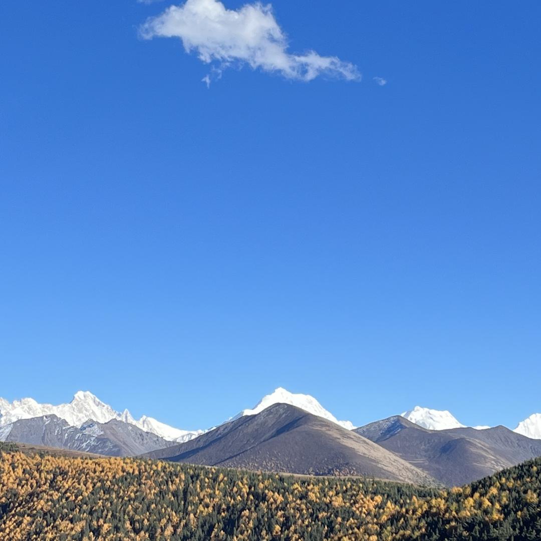 Alone-华住酒店推荐官