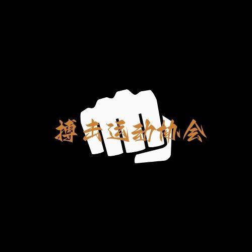 博奥星辰格斗搏击