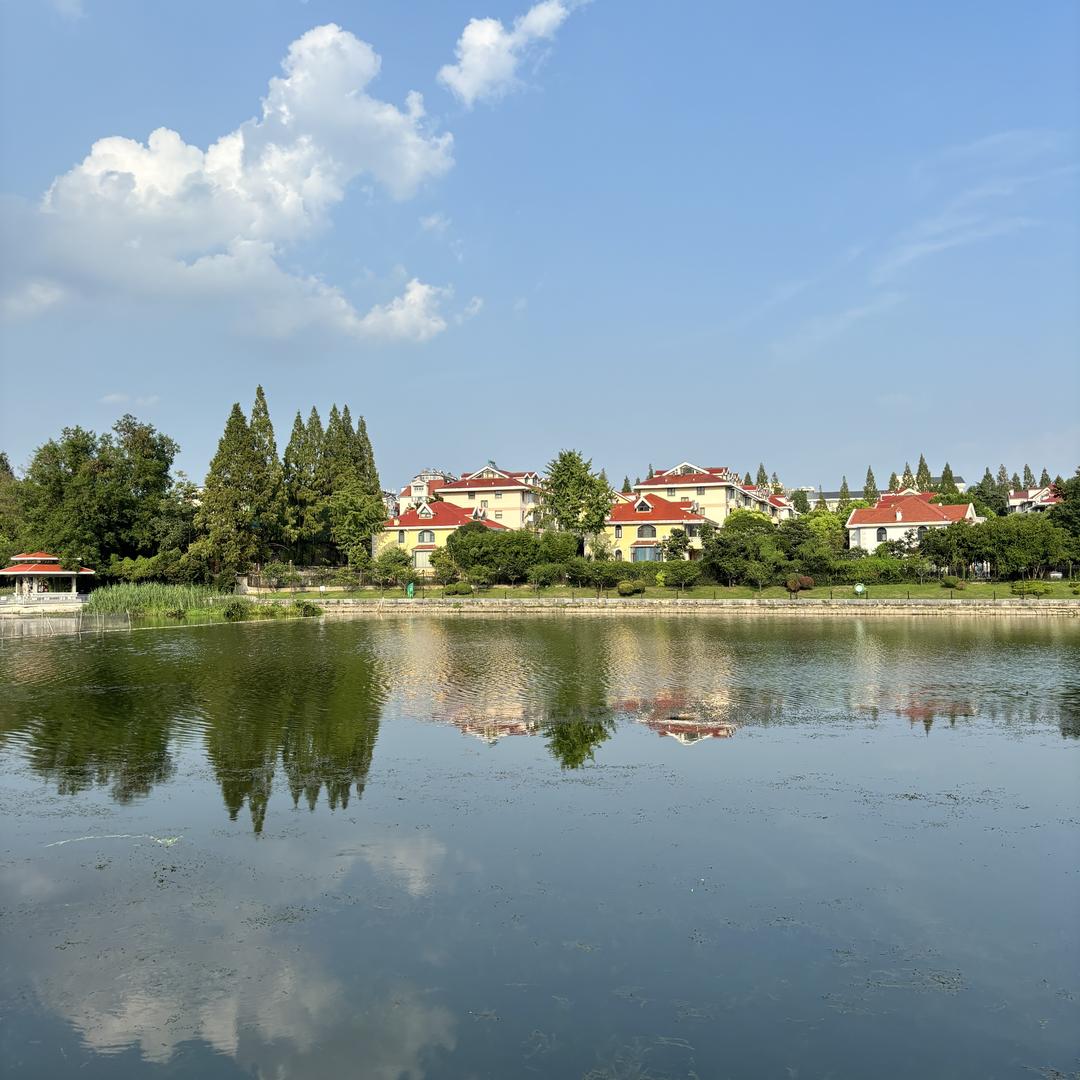 金狮国际酒店前台--急头白脸