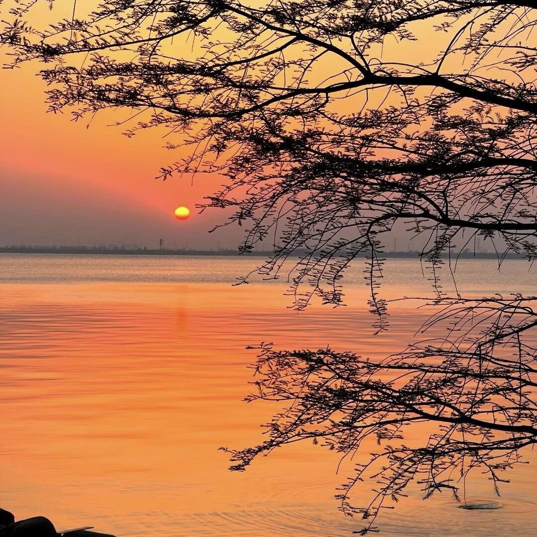 美丽衣橱（浙江滨海2店）