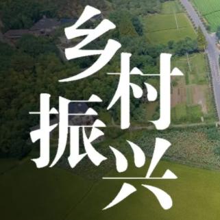 313乡村全镜头