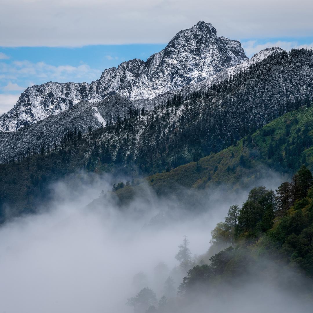 璐哥·旅游推荐官