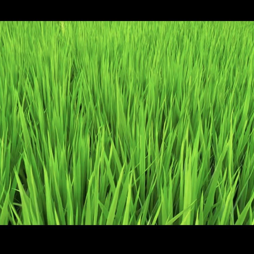 柔柔百货好物分享