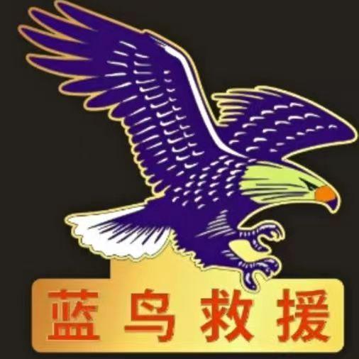 蓝鸟救援（抖音寻人）