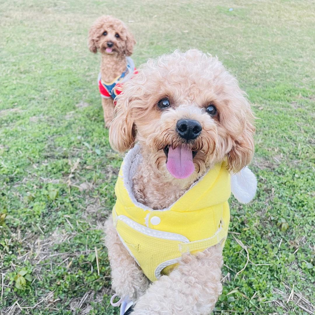 🌈🌈金金妮妮🌈🌈