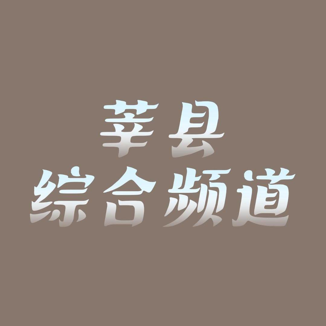 莘县综合频道