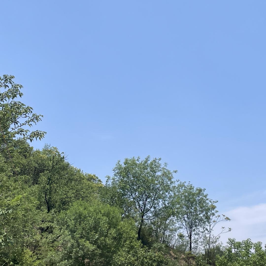 河南御行堂生物科技有限公司