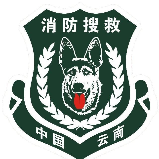 中国救援云南搜救犬机动专业支队