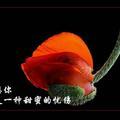 文韬武略，坐观天下