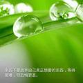 健胜彩钢