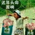 迎难而上