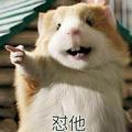 仲崇业