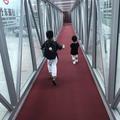 香林_78060