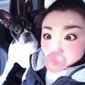 Ms.晓靖