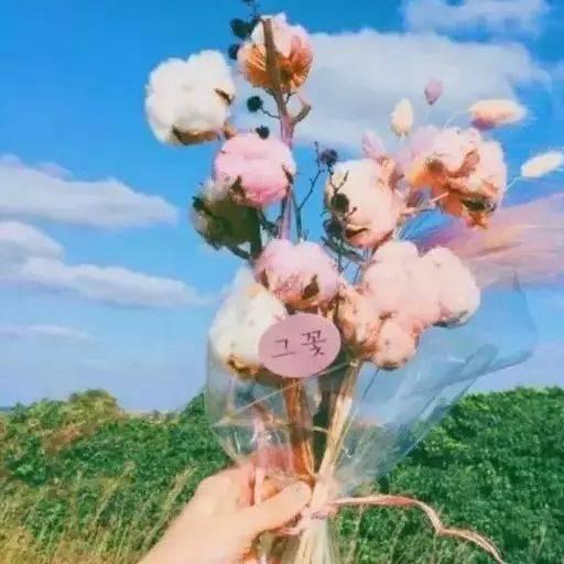 简简单单，但要努力