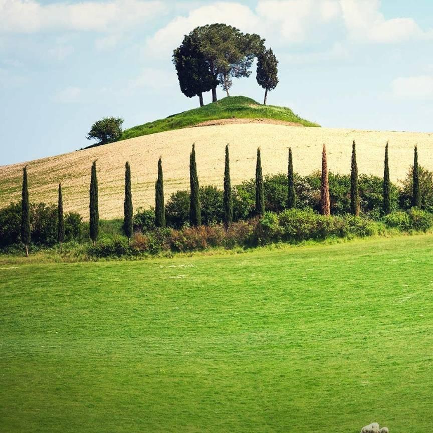 根在天津家在东北