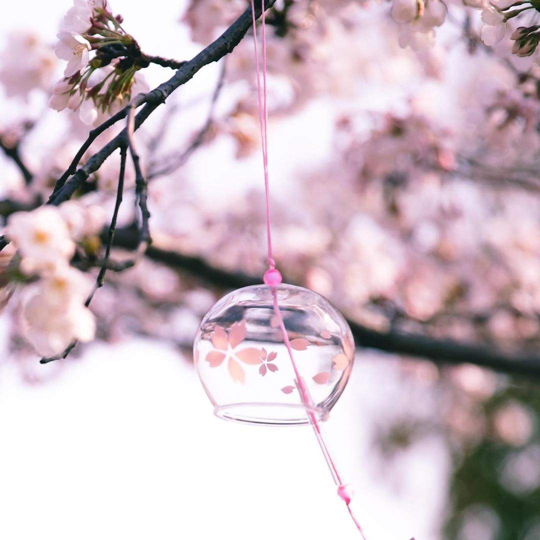 珍惜每一点快乐😊