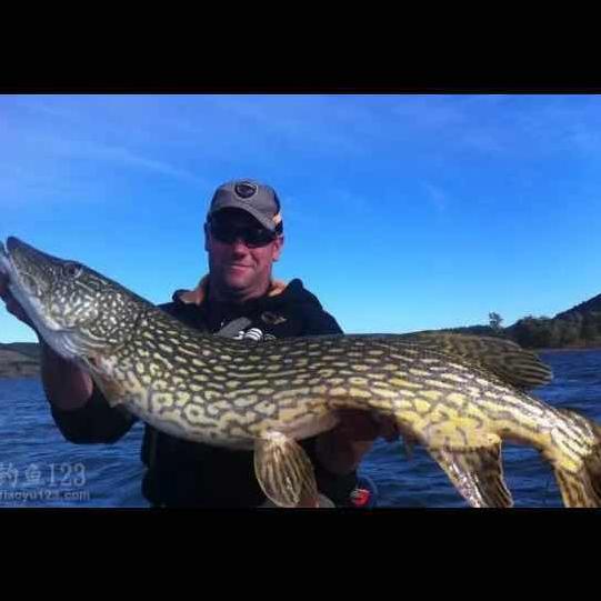 AA行者。我是二哥。