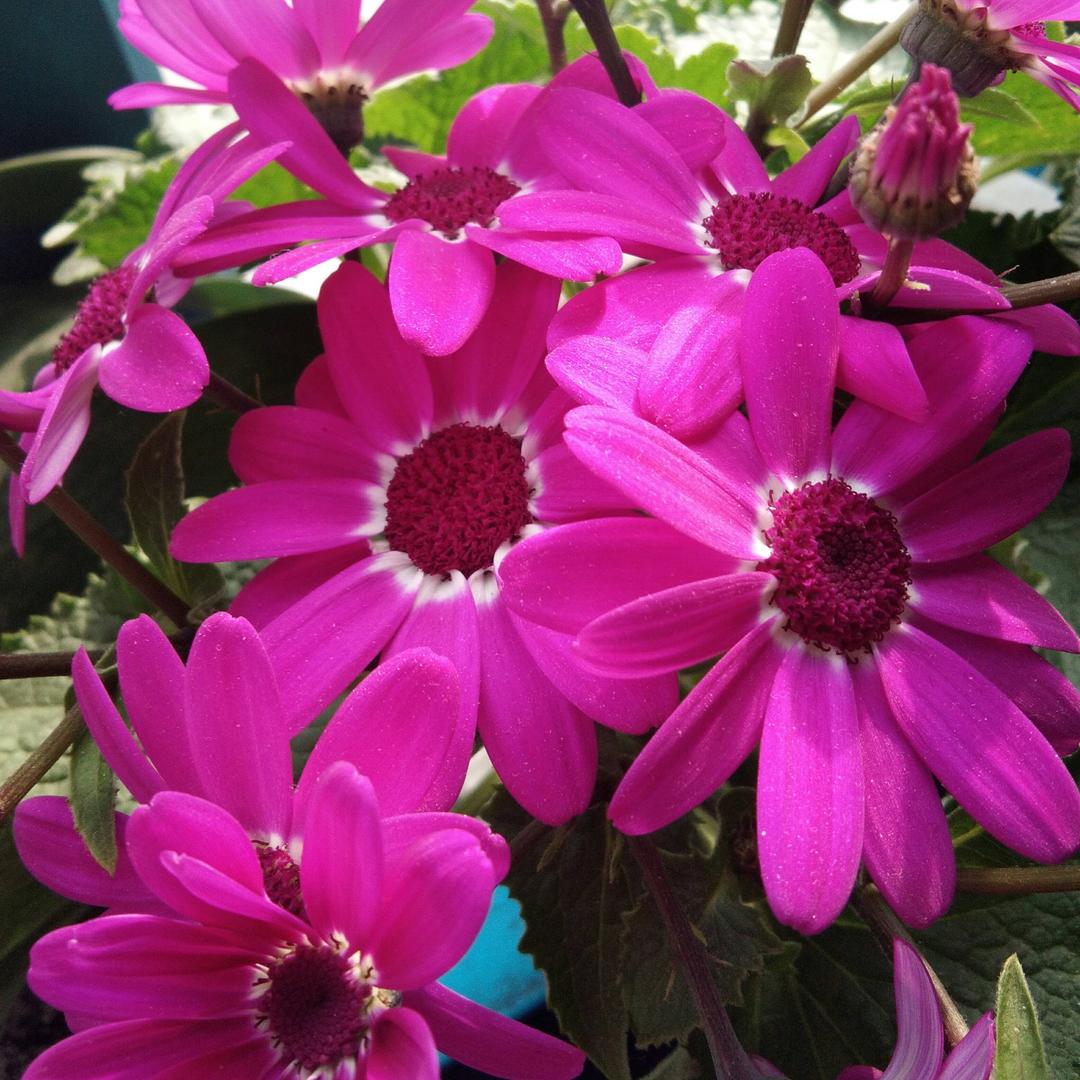 好人一生平安_256