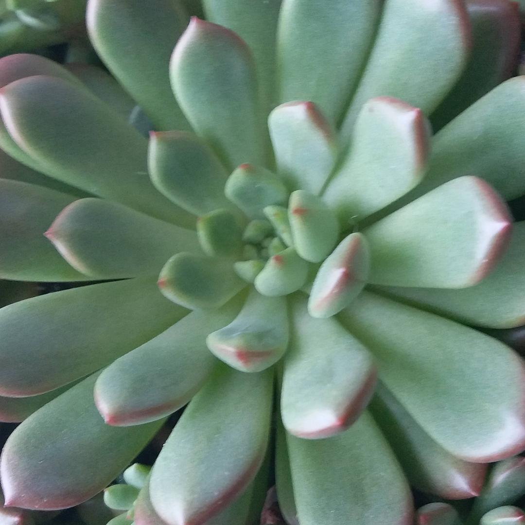 🌷飞鱼丨23🌷